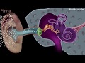 Understanding How We Hear Sound