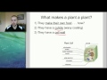 Plant Cell Functions and Characteristics