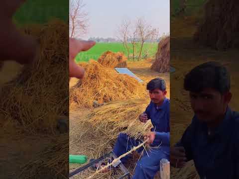 Desi Machine