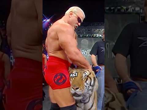🔥😳 نمور وثعابين وتمساح داخل WWE!