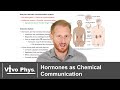 Endocrine System Concepts and Functions