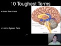 Toughest Terms in AP Psychology BioPsych Review