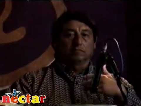 QUIEN - Grupo Néctar | En vivo