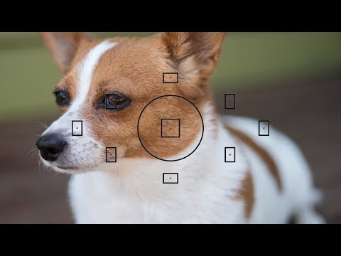 How to control the focus points on a NIKON & CANON DSLR.