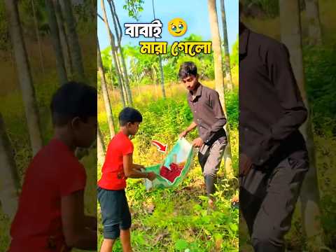 আজকে বাবাই আমাদের ছেড়ে চলে গেলো 🥹 | Bengali Mini Vlog | #shorts #minivlog #bangla #vlogger