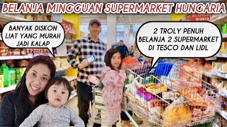 BELANJA MINGGUAN 2 SUPERMARKET SEKALIGUS DI TESCO & LIDL HUNGARIA BELI YANG DISKON MURAH TROLY PENUH