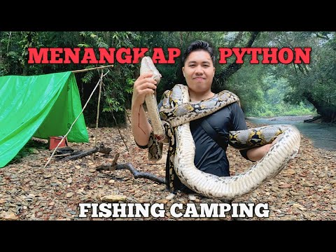 Camping Fishing menangkap Ular Python 2 hari dalam hutan hujan kalimantan