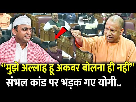 “मुझे अल्लाह हू अकबर बोलना ही नहीं”.. Sambhal कांड पर भड़क गए Yogi.. | Akhilesh Yadav | Jama Masjid