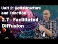 Membrane Transport and Potential Concepts