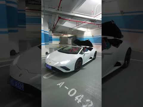 Lamborghini Huracan EVO Immersive Experience   #shorts