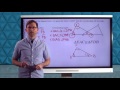 Exploring CPCTC in Geometric Proofs