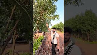 एक निर्णय ने इसे पेड़ बना दिया #pawansahu777 #motivation