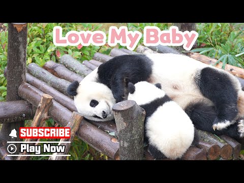 Panda Mom Is Eager To Show Her Love To Her Baby | iPanda