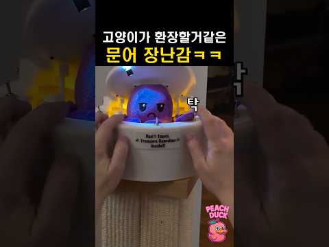 고양이가 환장할거같은 문어 장난감ㅋㅋ