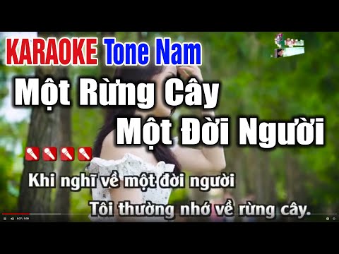 Một Rừng Cây Một Đời Người Karaoke 2022 Tông Nam | Nhạc Sống Thanh Ngân