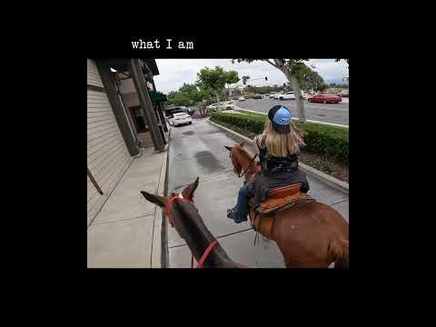 Starbucks run with my new Tesla #horses #horse #equestrianrider #equestrian