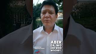 BSW-Oh je`!