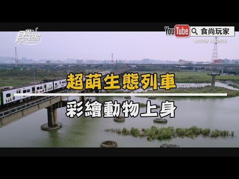 【食尚玩家帶你玩】超萌生態列車！彩繪動物上身