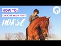 Choosing the Right Horse for You