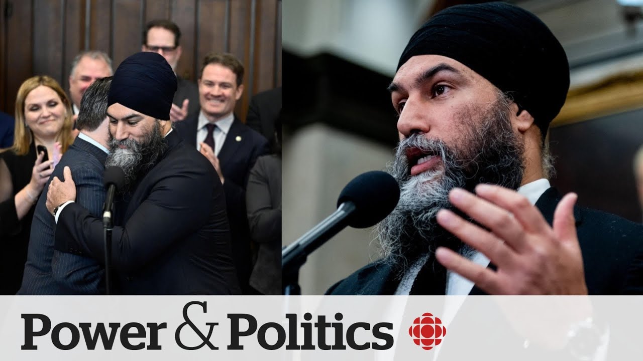 Political Pulse Panel: 3 NDP MPs are leaving politics — what does that mean for Jagmeet Singh?
