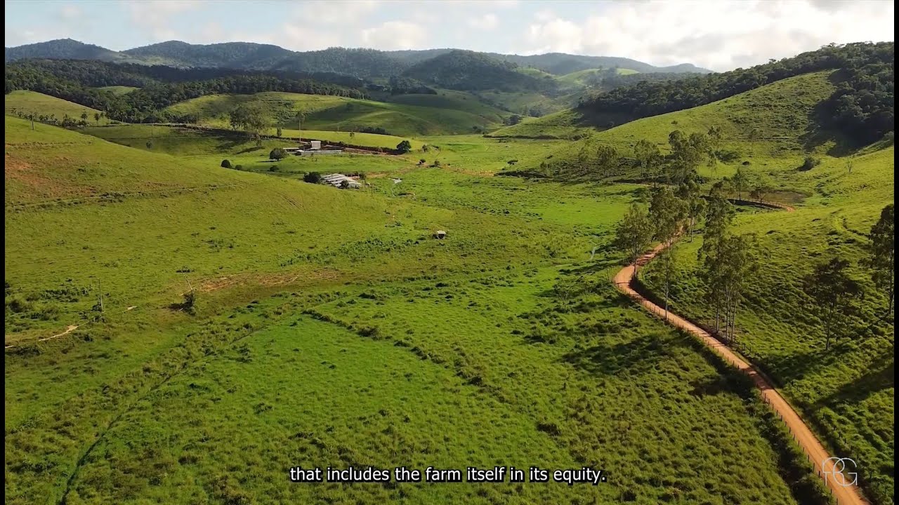 Descubra a Fazenda Cachoeira de Palma, uma propriedade rural espetacular de 1550 hectares localizada em Palma, Minas Gerais. Esta fazenda não é apenas uma terra de beleza natural incomparável, mas também uma potência de produção pecuária, com infraestrutura completa e recursos hídricos abundantes.