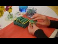 Understanding Quantity Through Activities