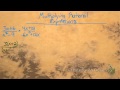 Factoring and Simplifying Rational Expressions