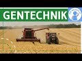 Gentechnik und ihre Auswirkungen