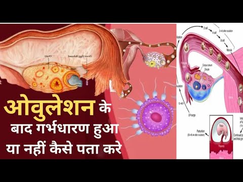 Pregnancy Symptoms - ओवुलेशन के 10 दिन बाद ये लक्षण बताते है प्रेगनेंसी हो चुकी है। Pregnant