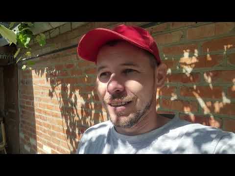 МЫ ПРИЕХАЛИ/ 3 НОВОСТИ В ОДИН ДЕНЬ/ КАК НАМ ВЕЗЕТ/ПЛЮСЫ ЖИЗНИ НА КУБАНИ И МИНУСЫ ПОДМОСКОВЬЯ