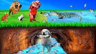 कुत्ते का पिल्ला और Underground Secret Tunnel Fish Puppy Dog Bear Cat Crocodile Animals Forest