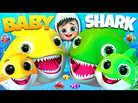 Baby Shark's Numbers Adventure 1️⃣🦈, Wheels on The Bus Song , #babyshark #nurseryrhymes  #cocomelon