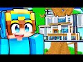 Treehouse Adventure and Reactions