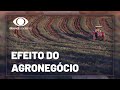Agribusiness Trends and Developments