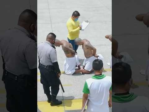 Así de peligrosos eran los pandilleros antes de Bukele