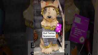 Which Halloween Porch Greeter Are You Choosing? 🎃✨ | The Home Depot