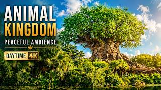 Disney’s Animal Kingdom Ambience in 4K 🌳 | Relaxing Walt Disney World Park Sounds