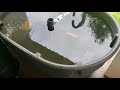 Fish Raising Techniques and Equipment