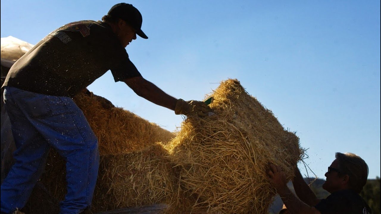 China’s Sanction on Australian Hay Exports Lifted