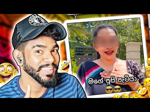 පුදුම ලස්සන සින්දුවක් පූසා ගැන Hikzz 🤣  | Gazta