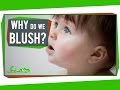 Understanding Blushing: A Human Phenomenon
