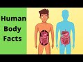 Human Body and Blood Functions