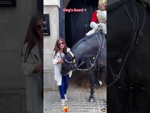King's Guard ❤️ Royal Horse 🐎❤️#kingsguard#horseguardsparade#peterellis#soldier#tourist