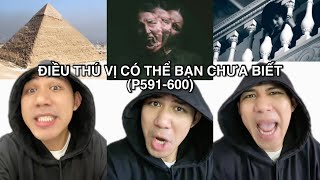 NHỮNG ĐIỀU THÚ VỊ CÓ THỂ BẠN CHƯA BIẾT (P591-560) | Davo’s Lingo