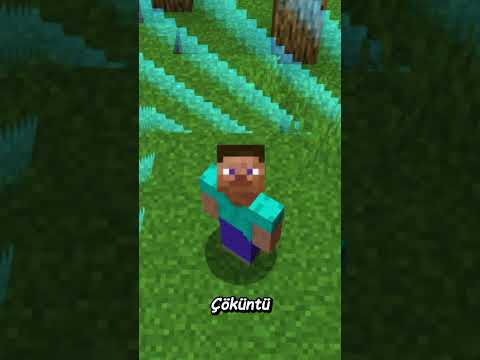 Minecraft AMA Sınırı Siz Kontrol Ediyorsunuz 🎮
