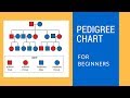 Understanding Pedigree Charts and Genetic Inheritance