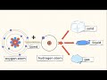 Understanding Atomic Structure and Theory