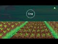 Kharif and Rabi Crops Overview