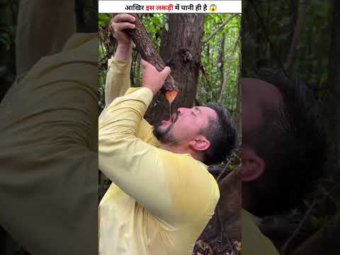You should never drink water from wood like this.