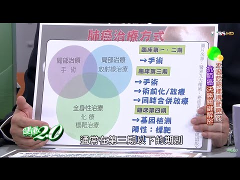 肺癌治療方式 健康2.0 20151114 (2/4)